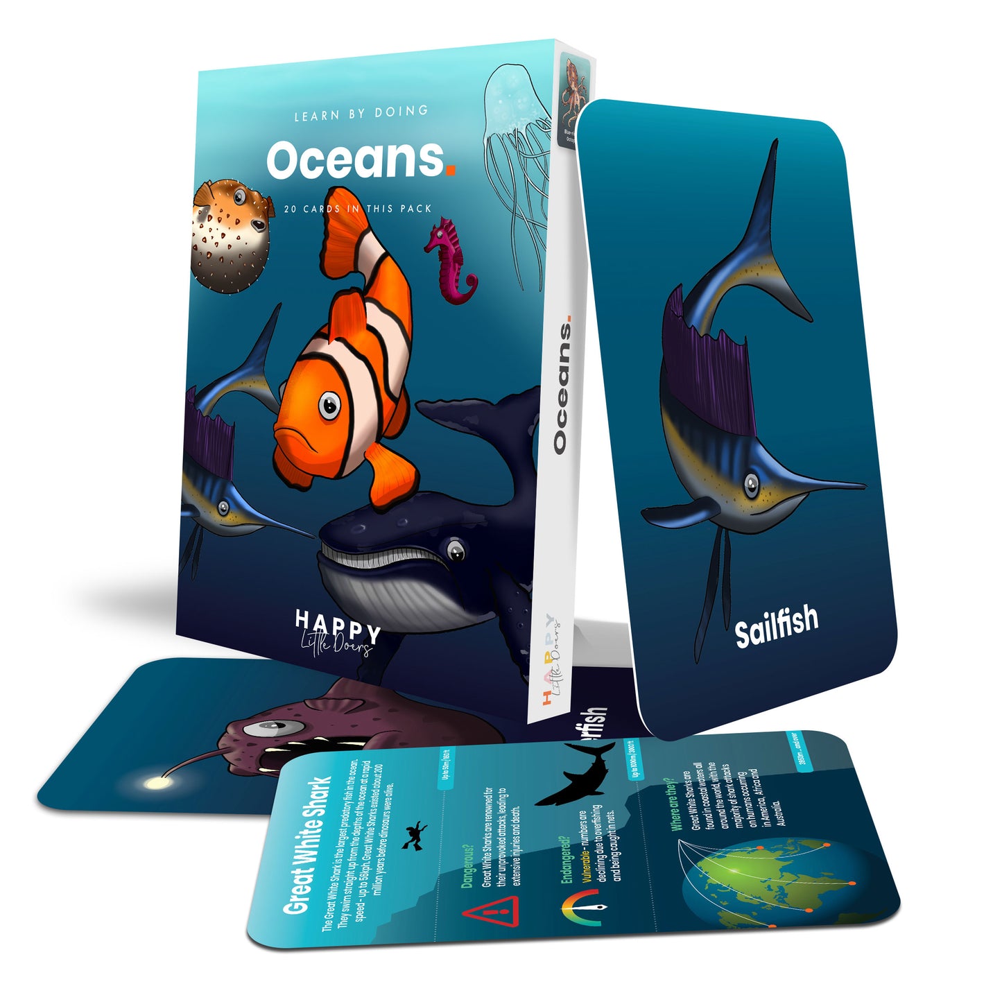 Ocean Activity Flashcards - Anilas UK