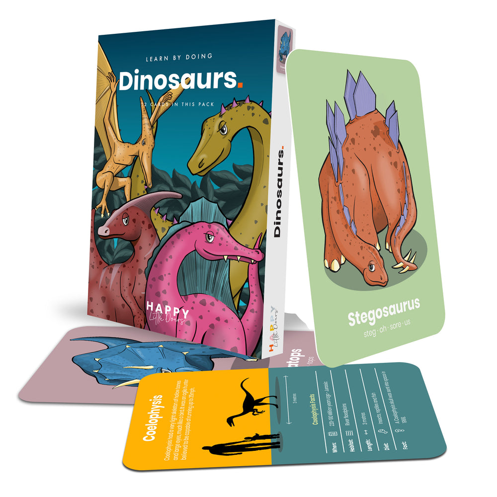 Dinosaur Activity Flashcards - Anilas UK