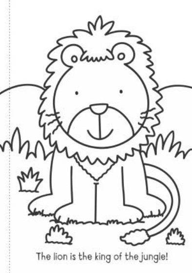 My First Colouring Books Set of 4 - Anilas UK