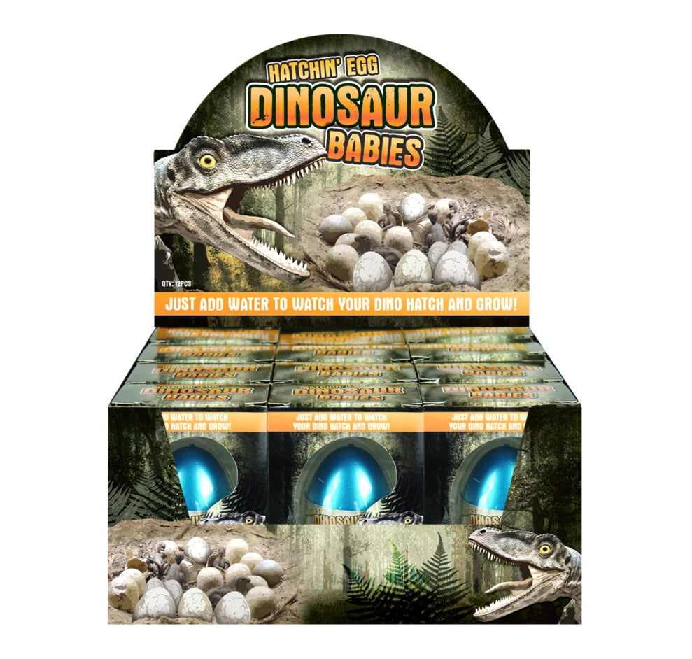Hatching Dinosaur Eggs (6cm) - Anilas UK