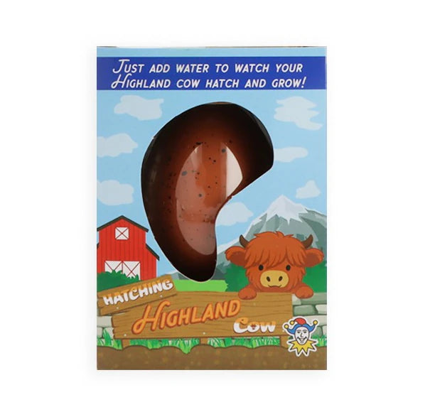 Hatch and Grow Highland Cow Egg Toy (6cm)