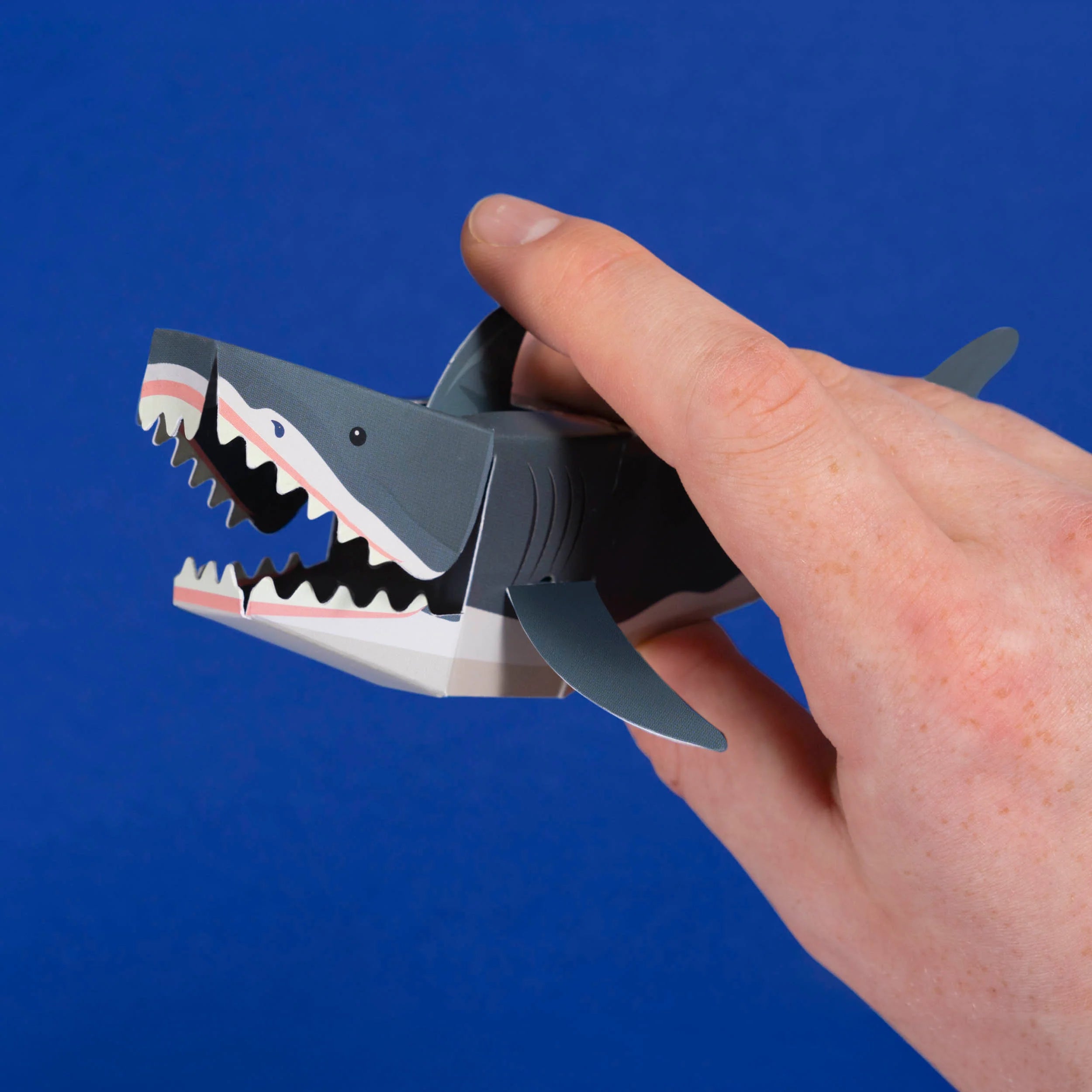 Create Your Own Chomping Shark - Anilas UK
