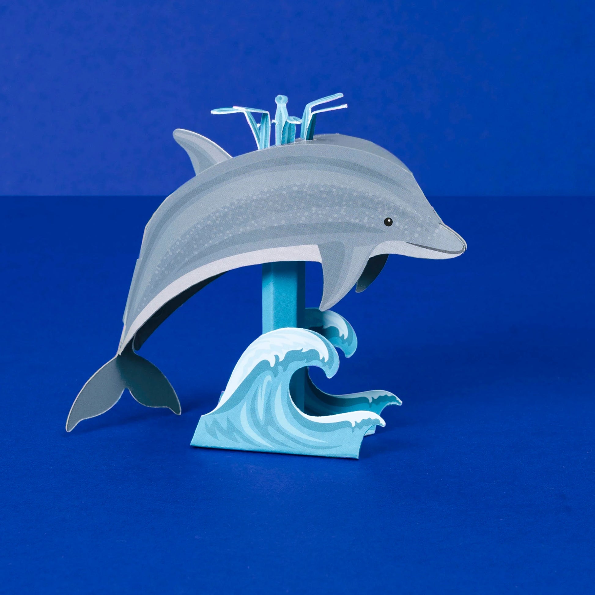 Create Your Own Dinky Dolphin - Anilas UK