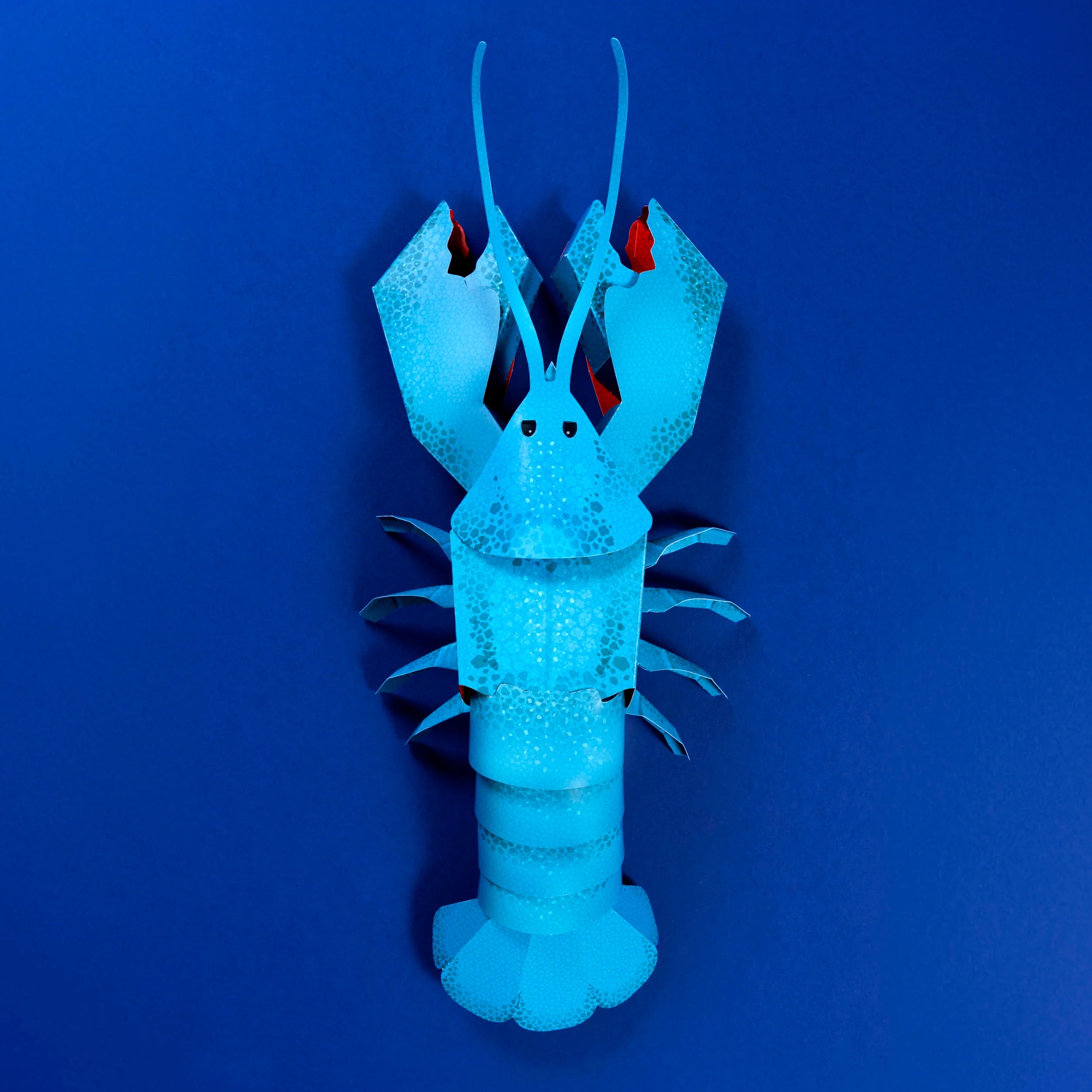 Clockwork Soldier's Make Your Own Loveable Lobster - Anilas UK