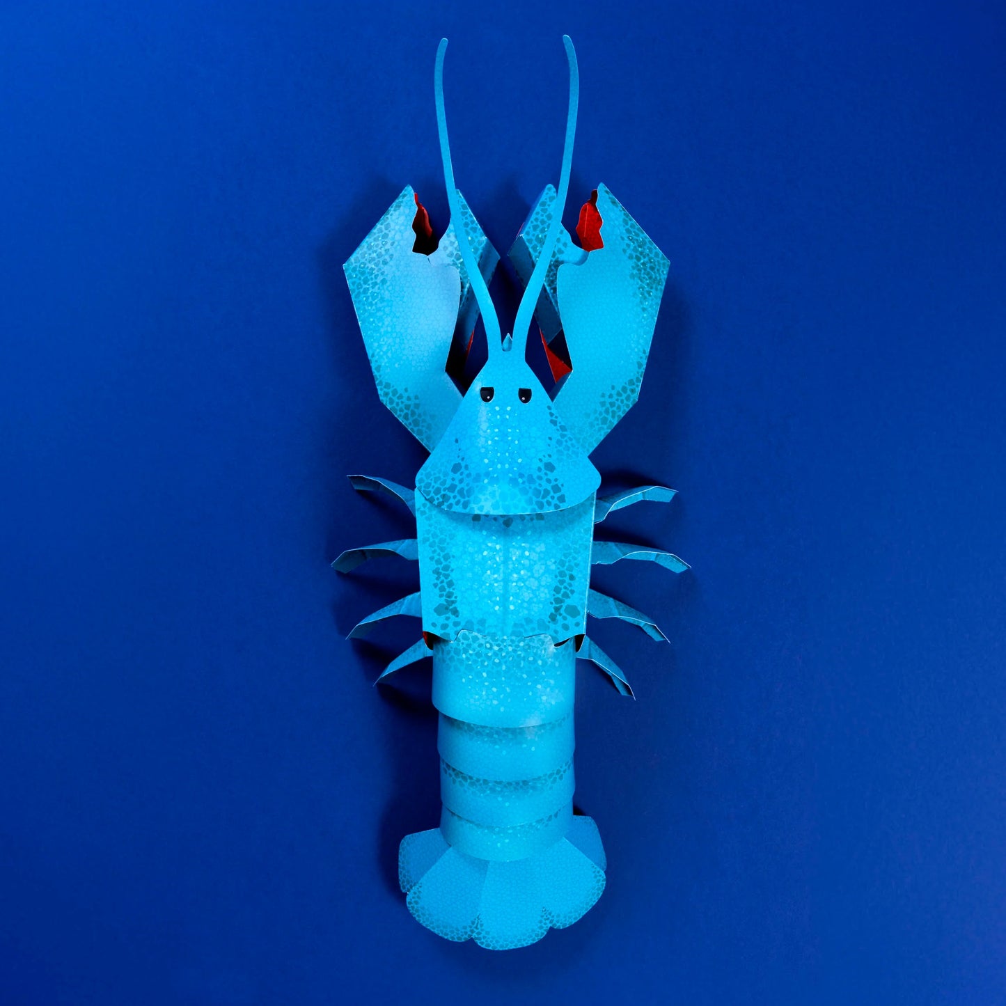 Clockwork Soldier's Make Your Own Loveable Lobster - Anilas UK