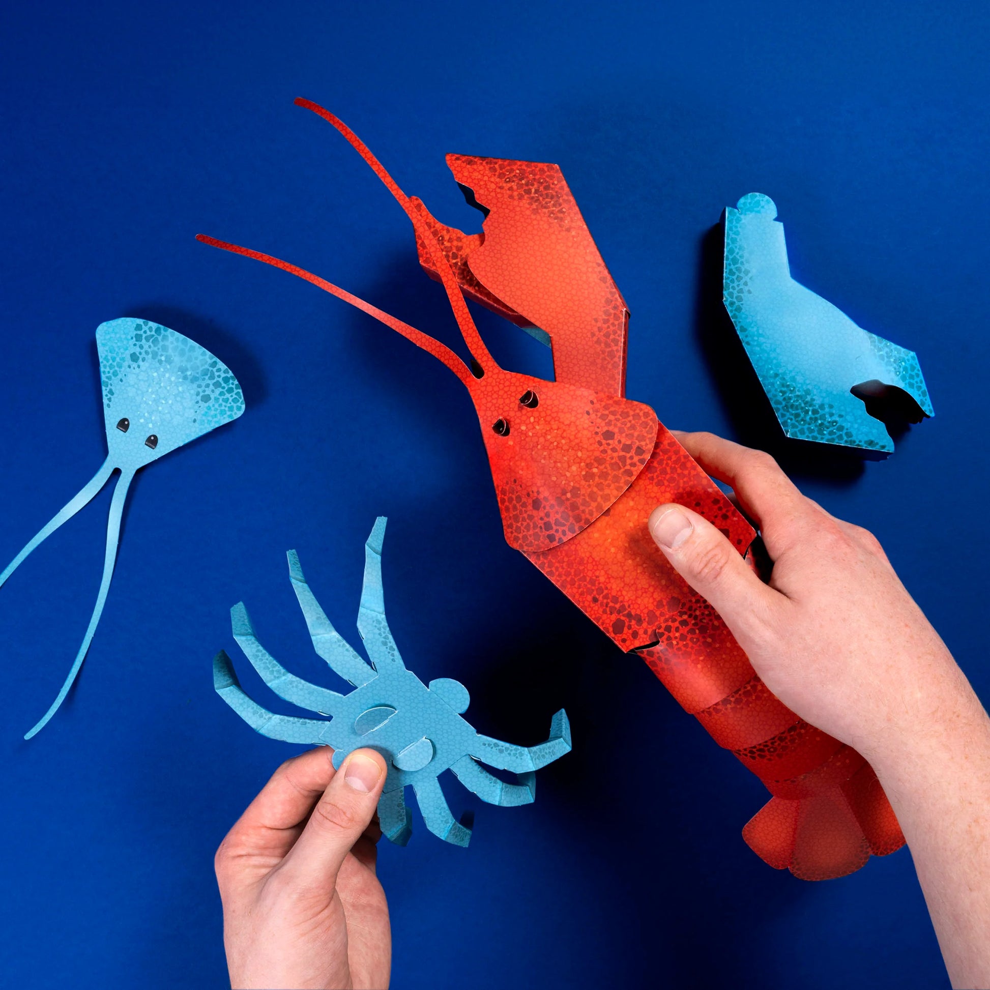 Clockwork Soldier's Make Your Own Loveable Lobster - Anilas UK