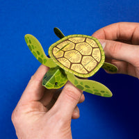 
              Create Your Own Tiny Turtle
            