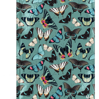 Butterfly A5 Hardback Notebook - Anilas UK