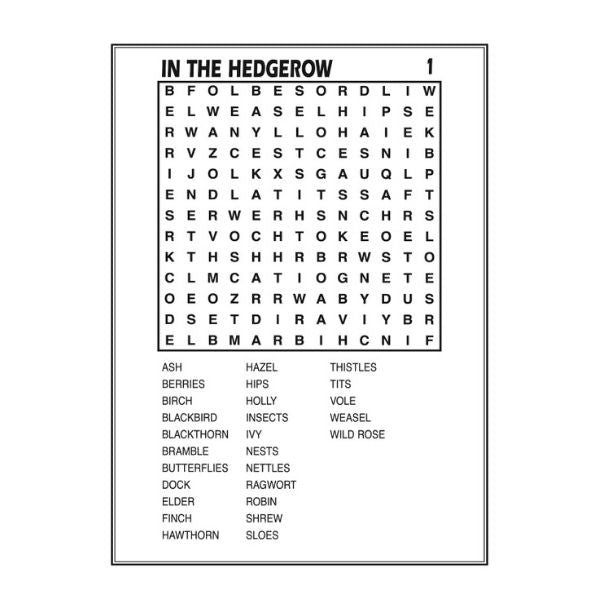 Mega Large Print Wordsearch Puzzle Book 5 - Anilas UK
