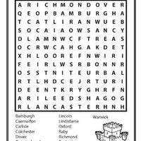 Wordsearch Book 2 (Mega Large Print) - Anilas UK