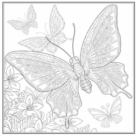 Love Colouring Book - Anilas UK