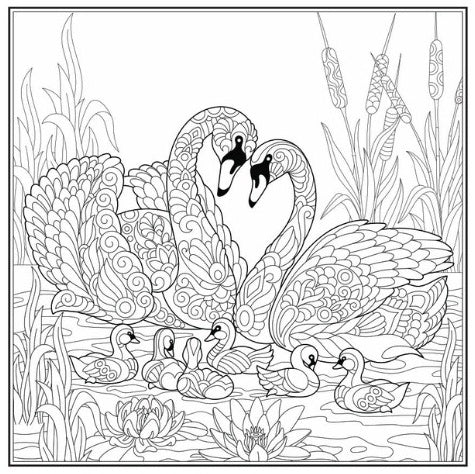 Love Colouring Book - Anilas UK