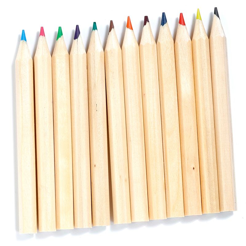 Adoramals Zoo Pencil Pot with 12 Colouring Pencils - Anilas UK