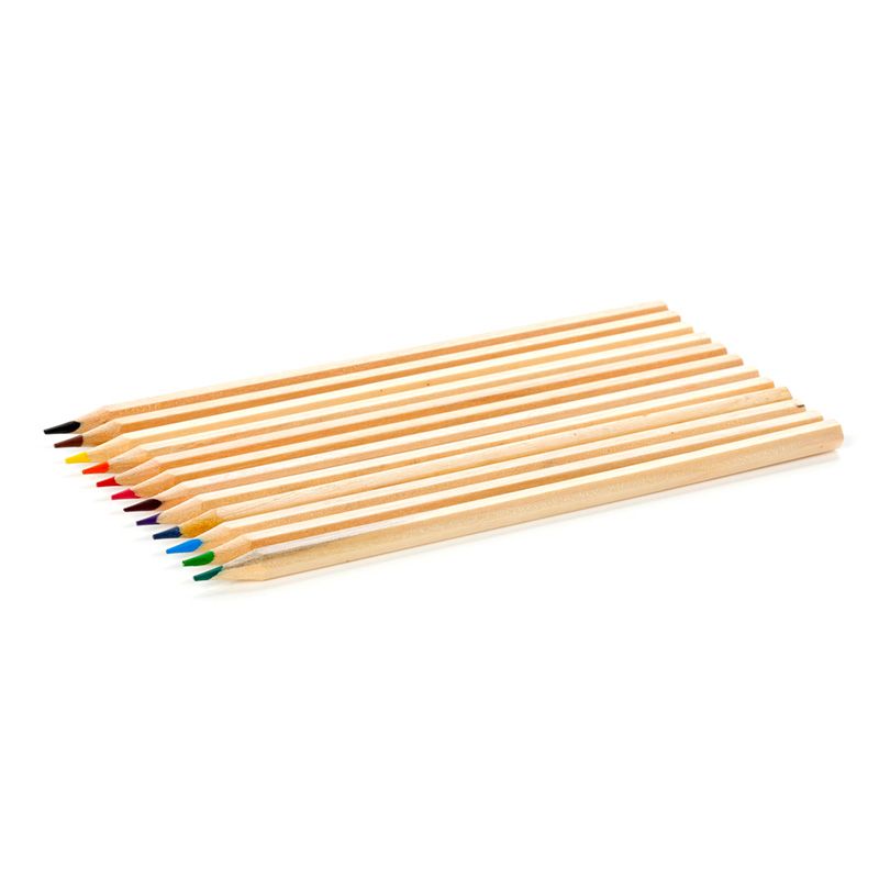 Animal Kingdom Large Pencil Pot with 12 Colouring Pencils - Anilas UK