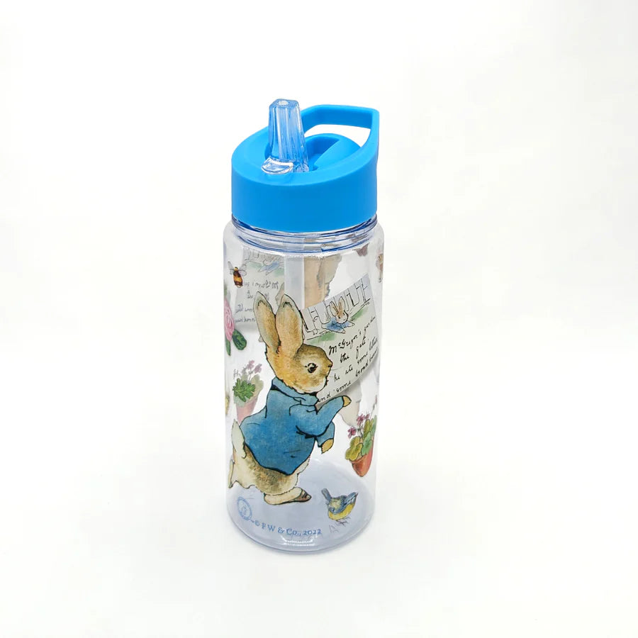 Peter Rabbit Children’s Water Bottle – 500ml BPA-Free Drink Bottle - Anilas UK