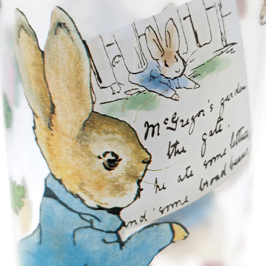 Peter Rabbit Children’s Water Bottle – 500ml BPA-Free Drink Bottle - Anilas UK