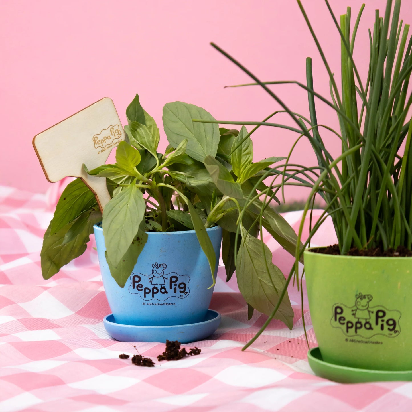 Peppa Pig Plant Growing Kit - Anilas UK