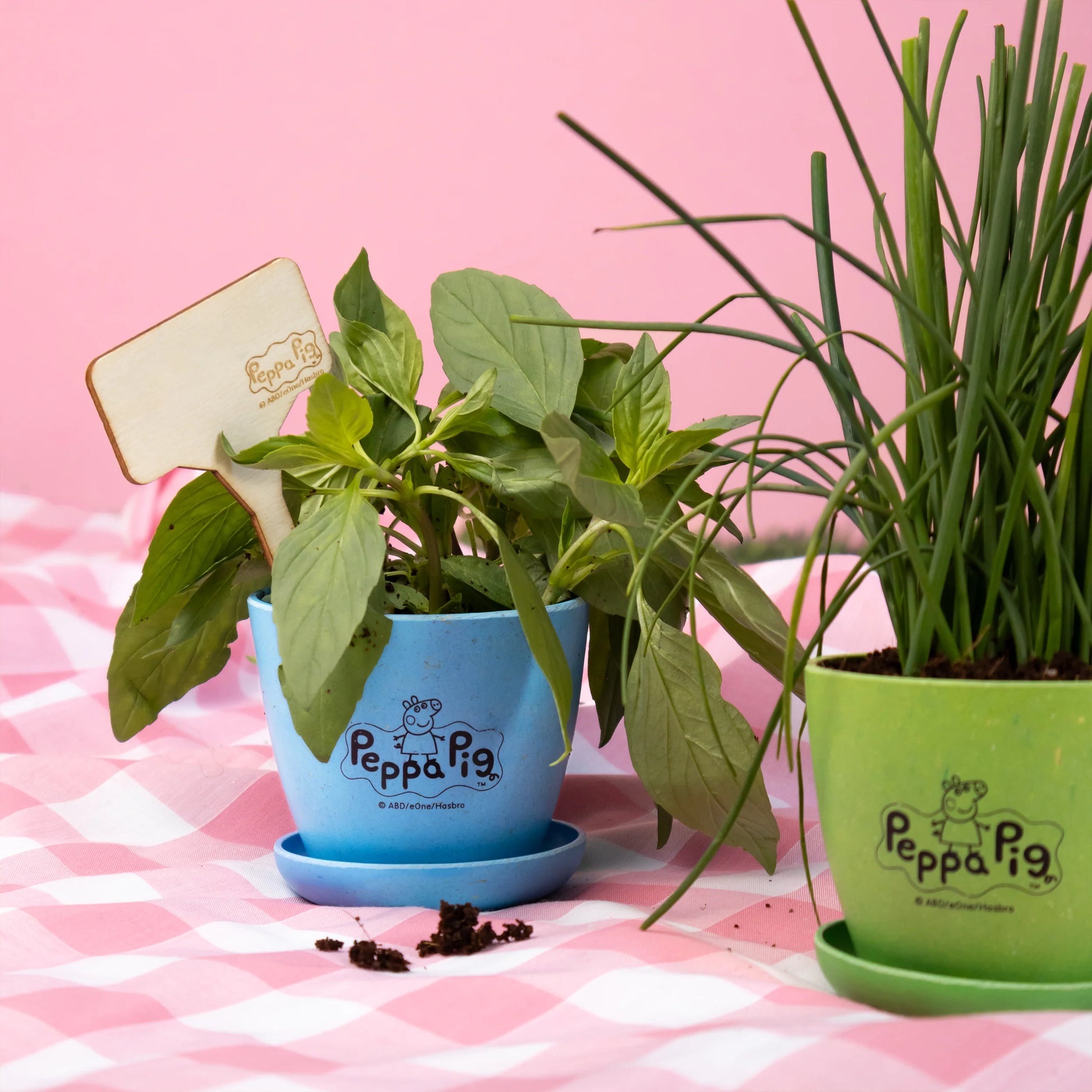 Peppa Pig Plant Growing Kit - Anilas UK
