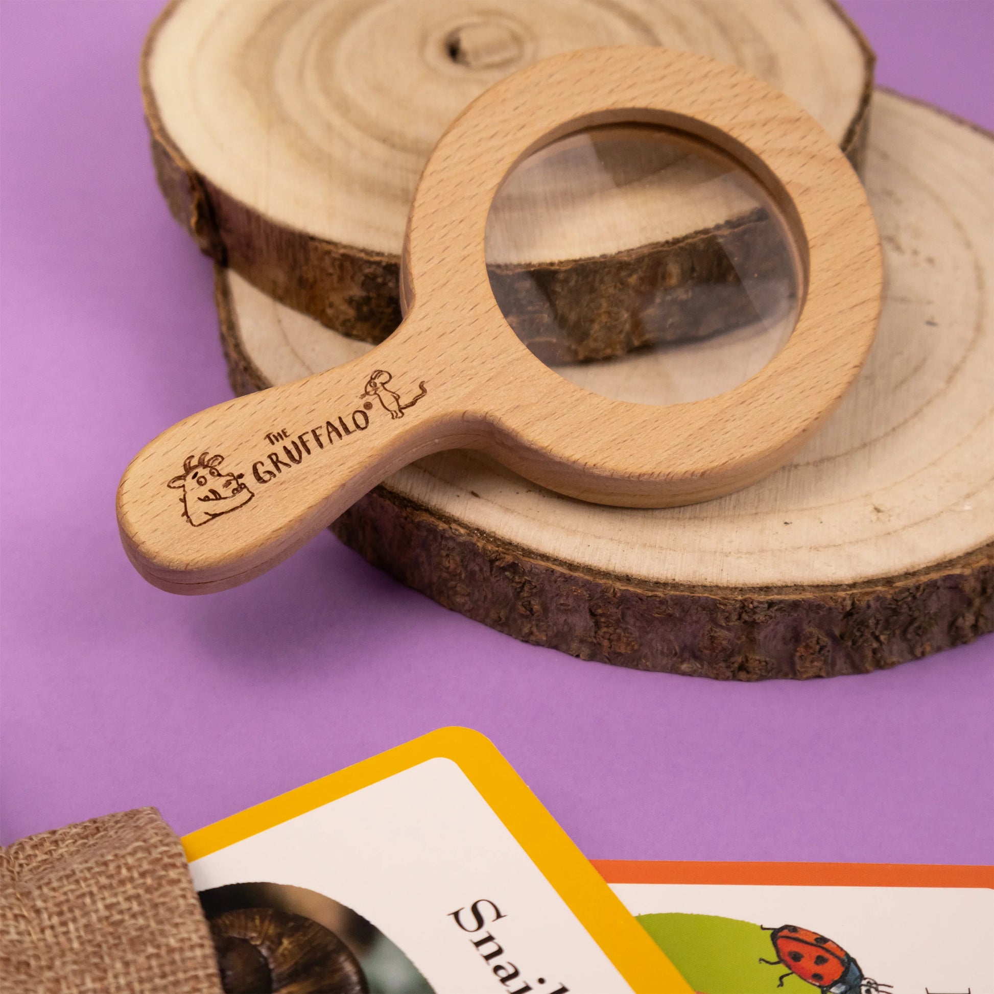 The Gruffalo Bug Spotter Activity Set - Anilas UK
