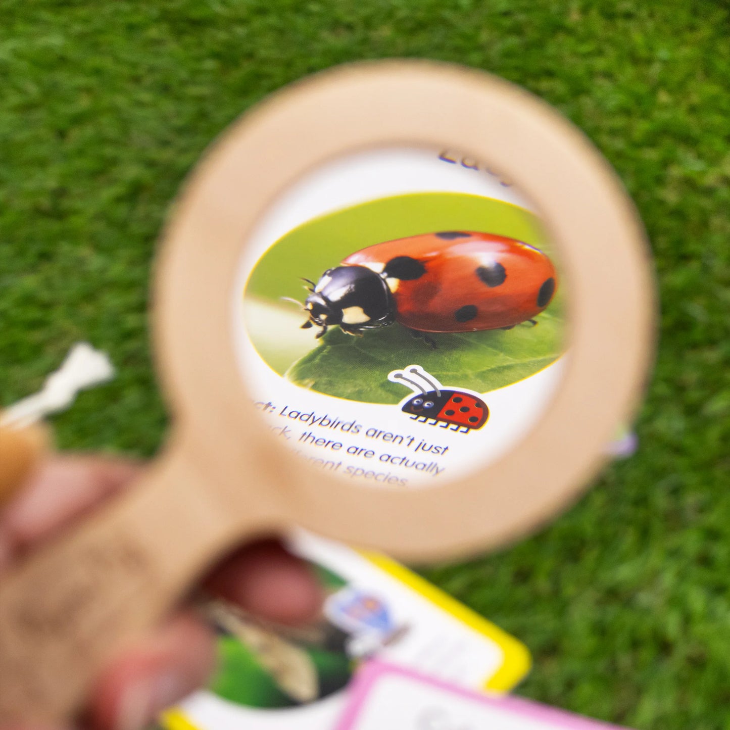 Peppa Pig Bug Spotter Activity Set - Anilas UK