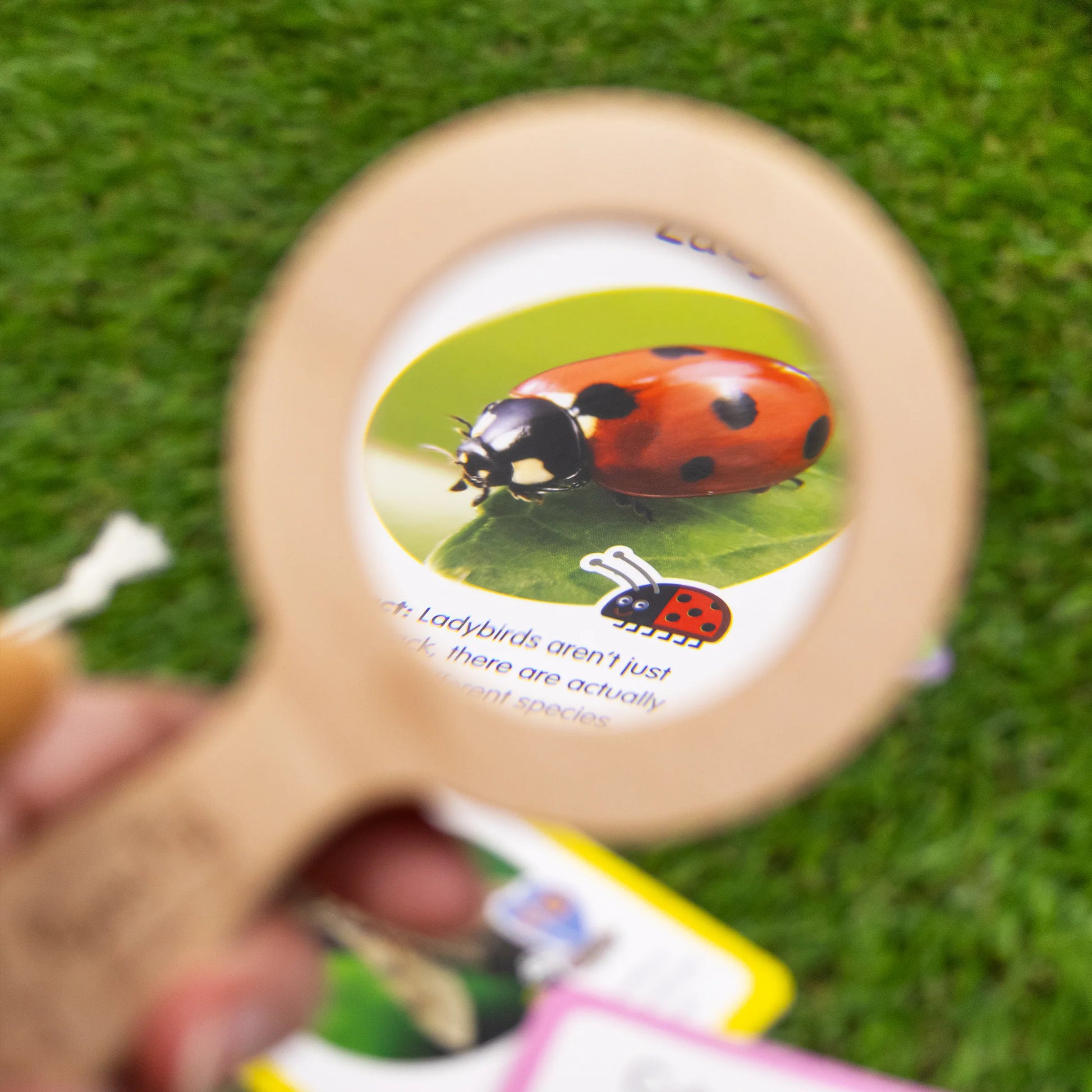 Peppa Pig Bug Spotter Activity Set - Anilas UK