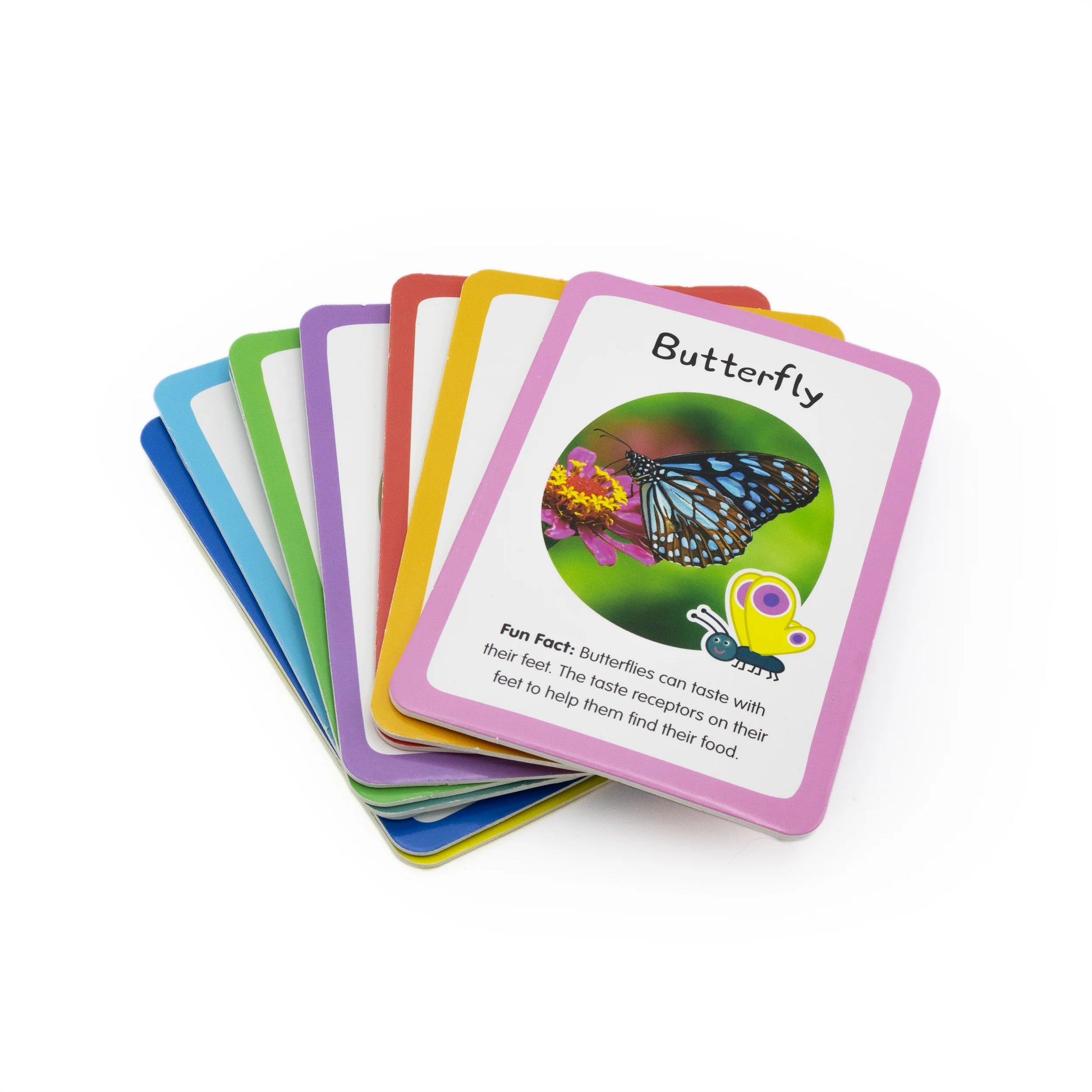 Peppa Pig Bug Spotter Activity Set - Anilas UK