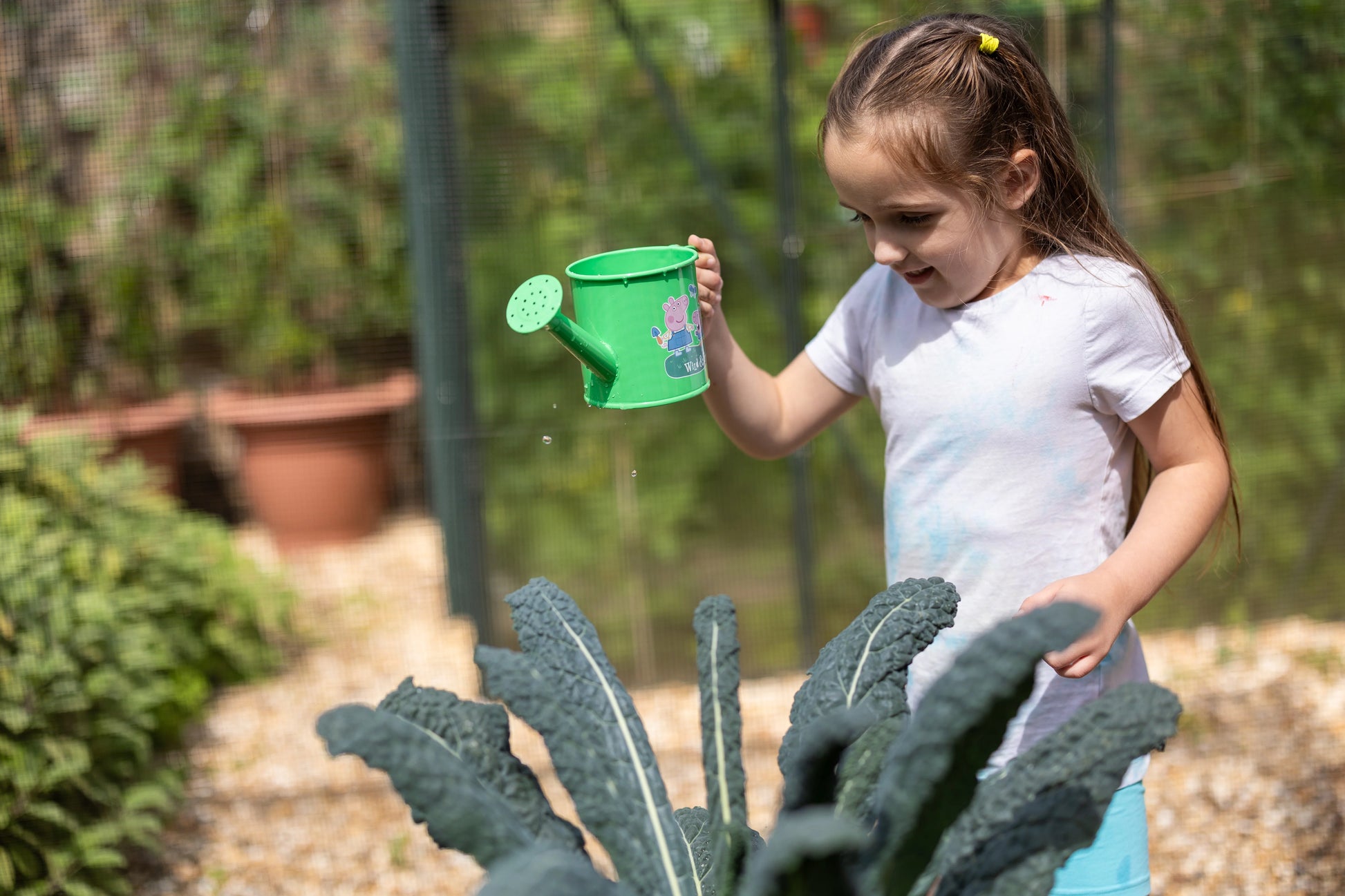 Peppa Pig Children’s Watering Can - Anilas UK