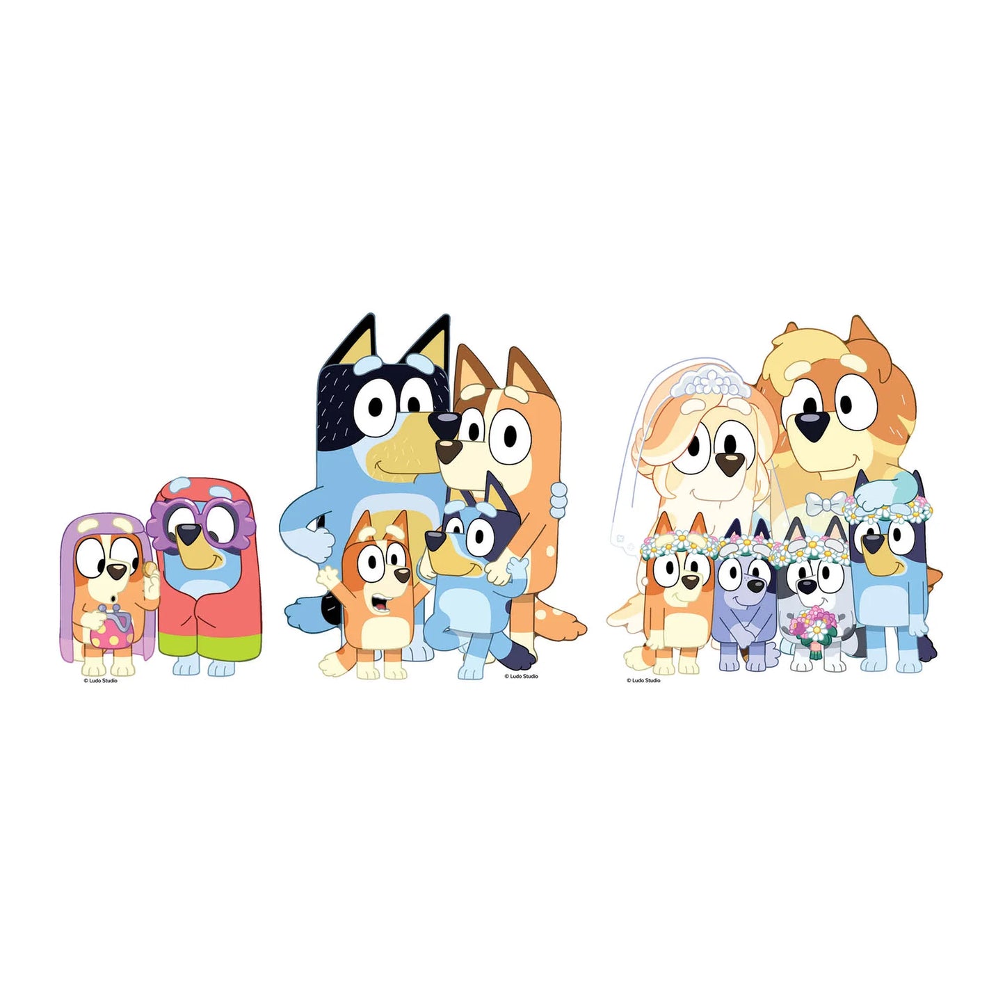 Bluey & Bingo, Grannies, Heeler Family & Bluey Family Wedding Shelf Top Pack Cardboard Cutouts Height 21cm