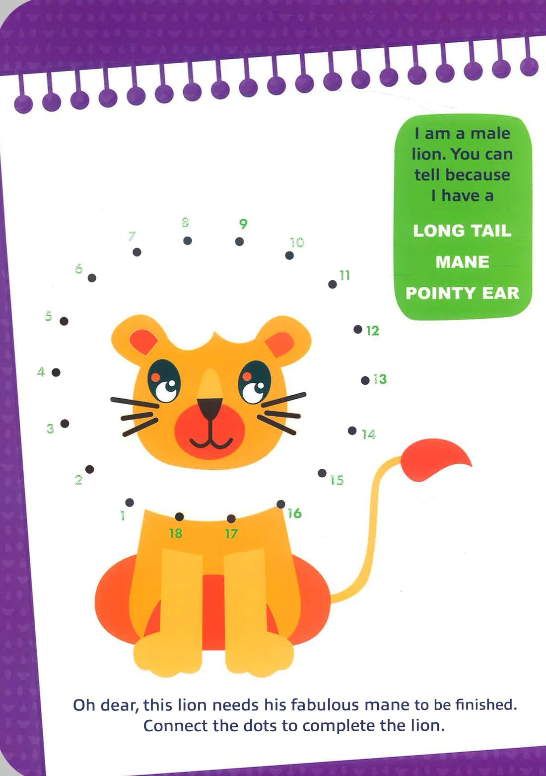 Safari Wipe Clean Book with Pen - Anilas UK