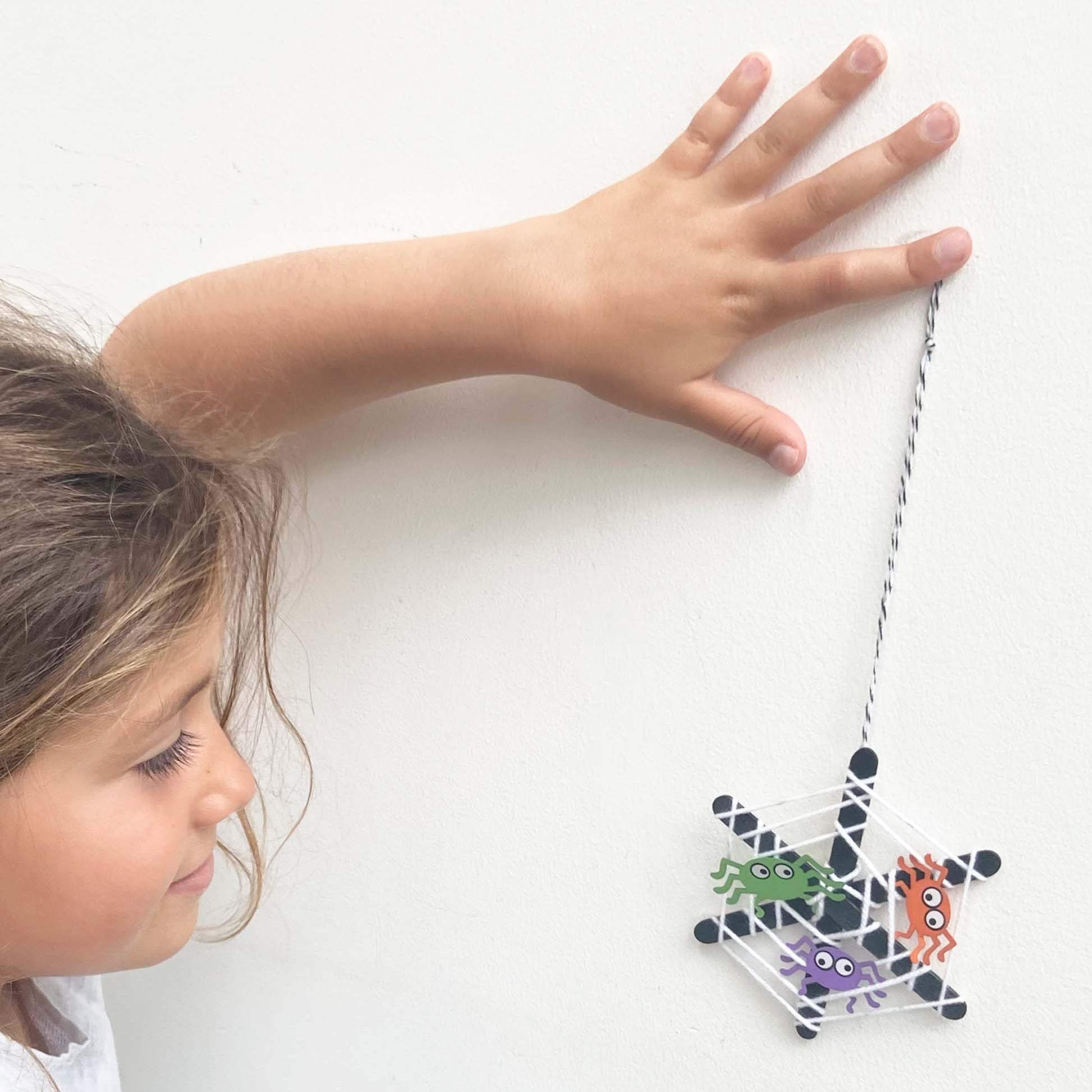 Make Your Own Spider's Web - Anilas UK