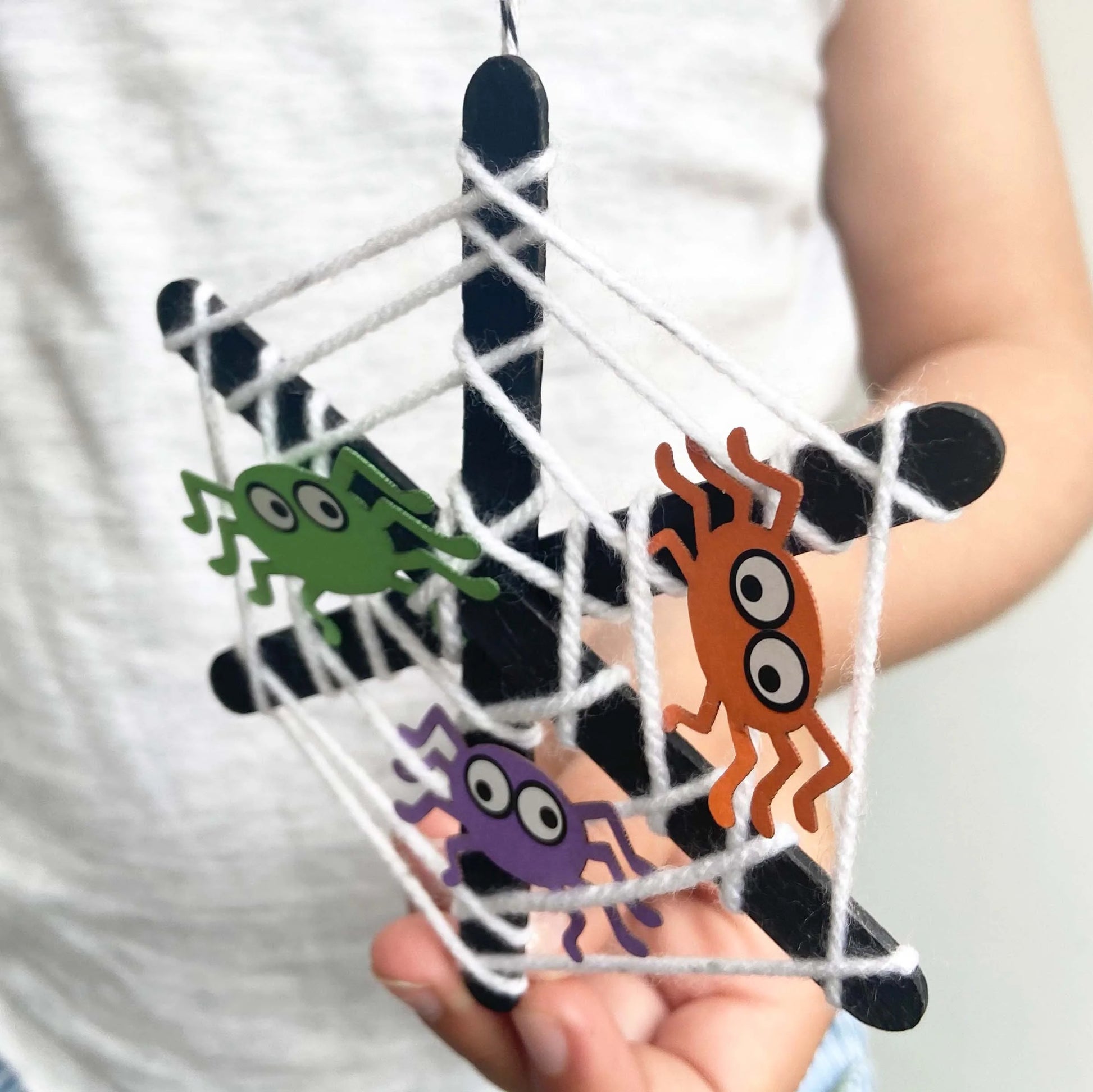 Make Your Own Spider's Web - Anilas UK
