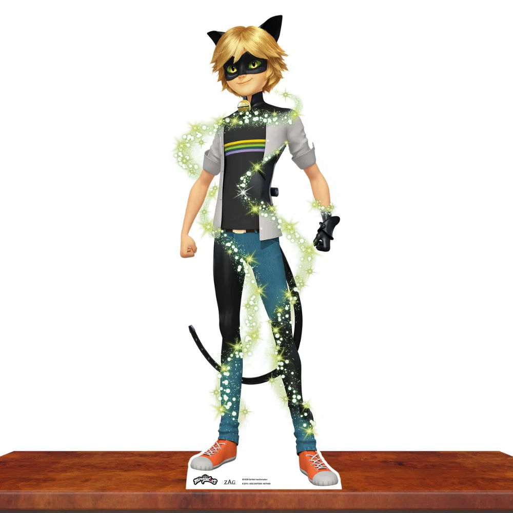 Cat Noir Transformation Star Table Top Cardboard Cut Out Height 95cm