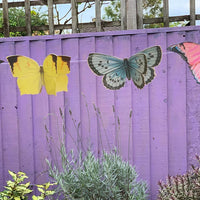 Colourful Butterfly Bunting - 2.5m - Anilas UK