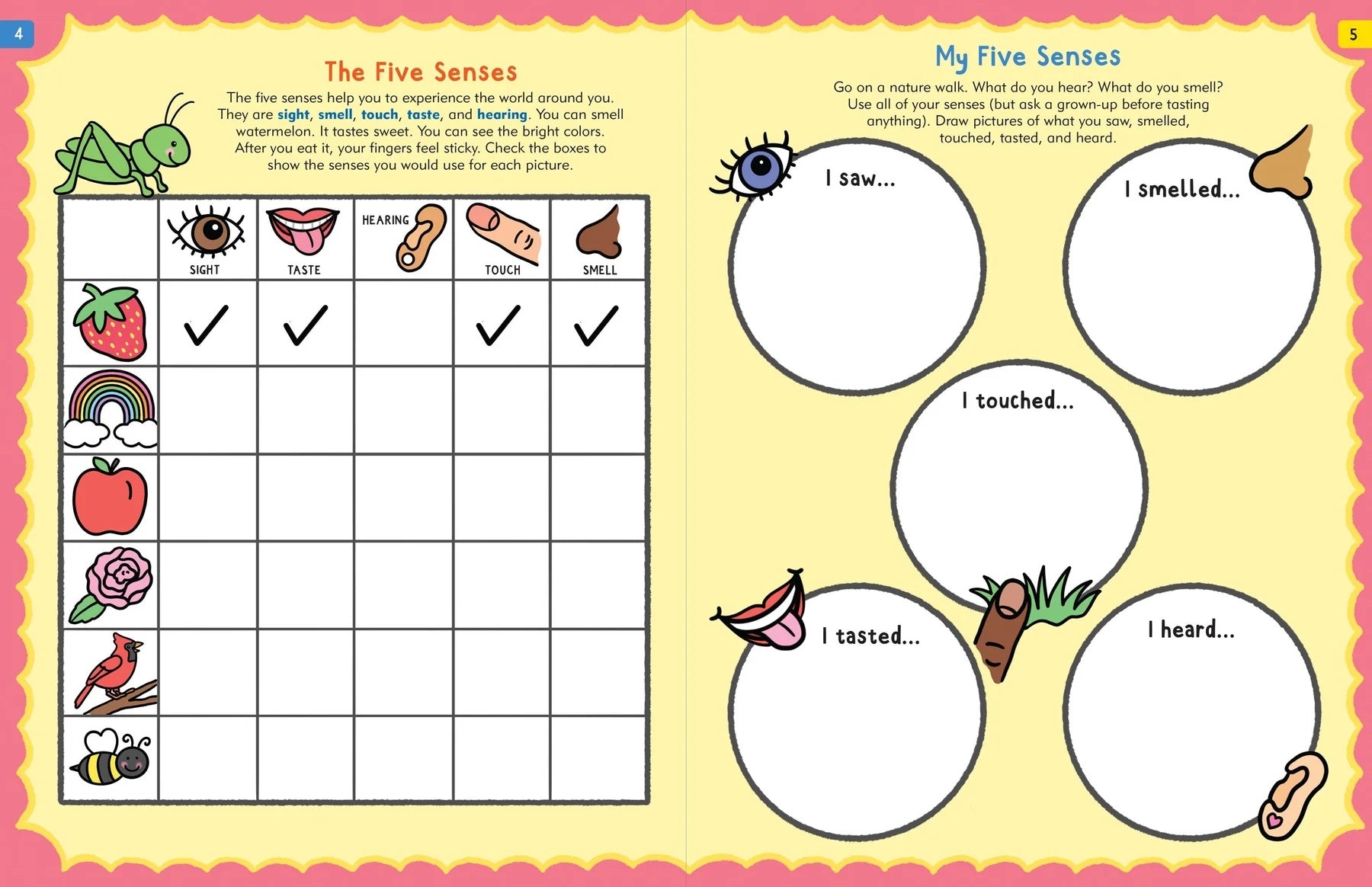 The Nature Explorer's Activity Book - Anilas UK