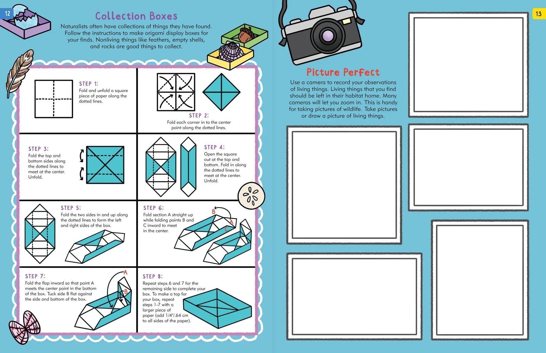 The Nature Explorer's Activity Book - Anilas UK