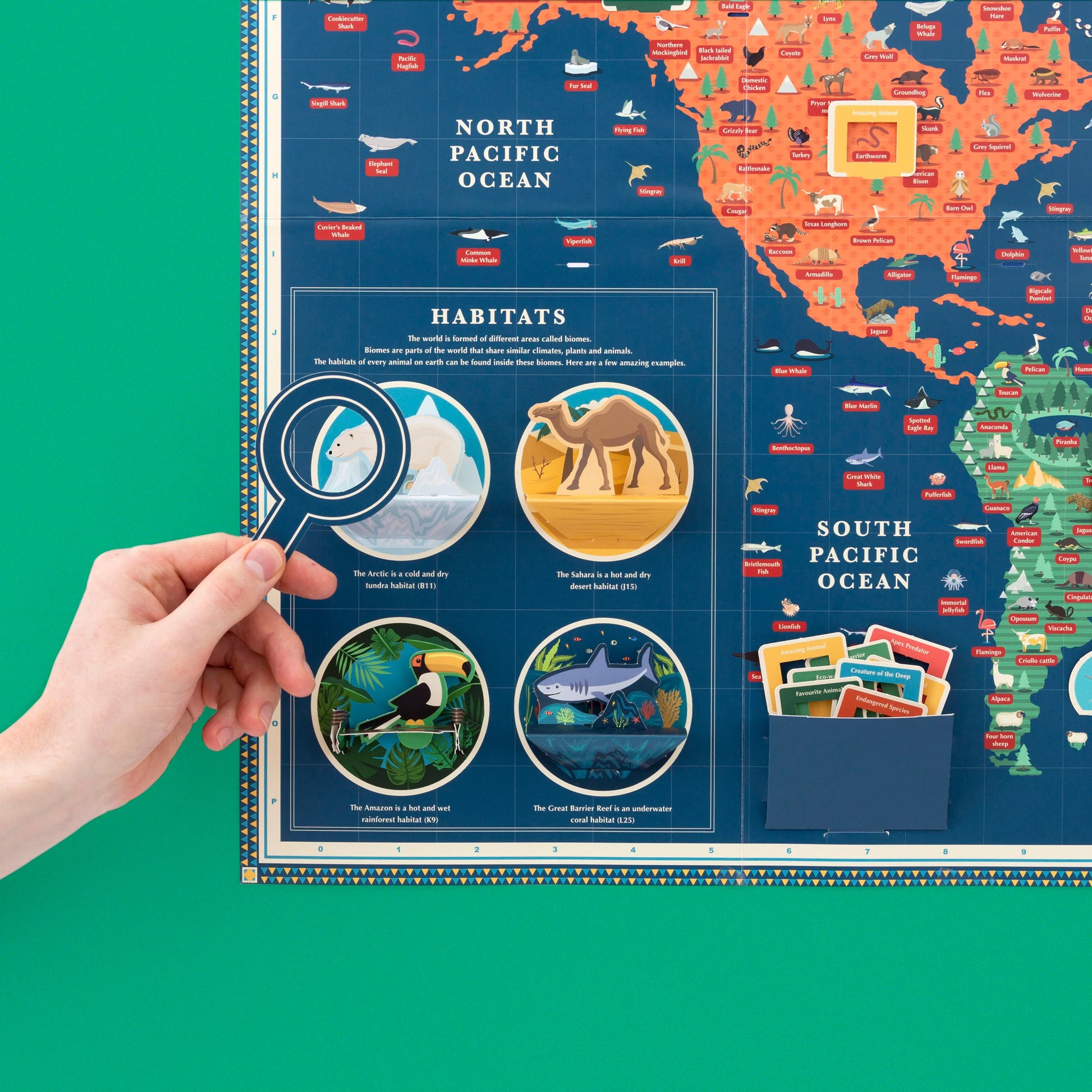 Clockwork Soldier's Create An Amazing Animal Kingdom Giant Map - Anilas UK