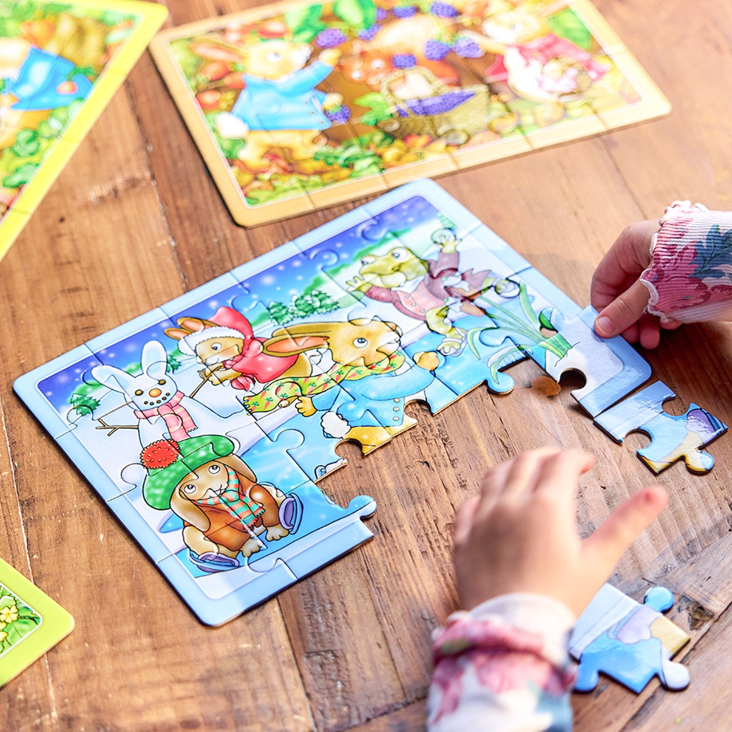 Peter Rabbit 4-in-a-Box Puzzles - Anilas UK