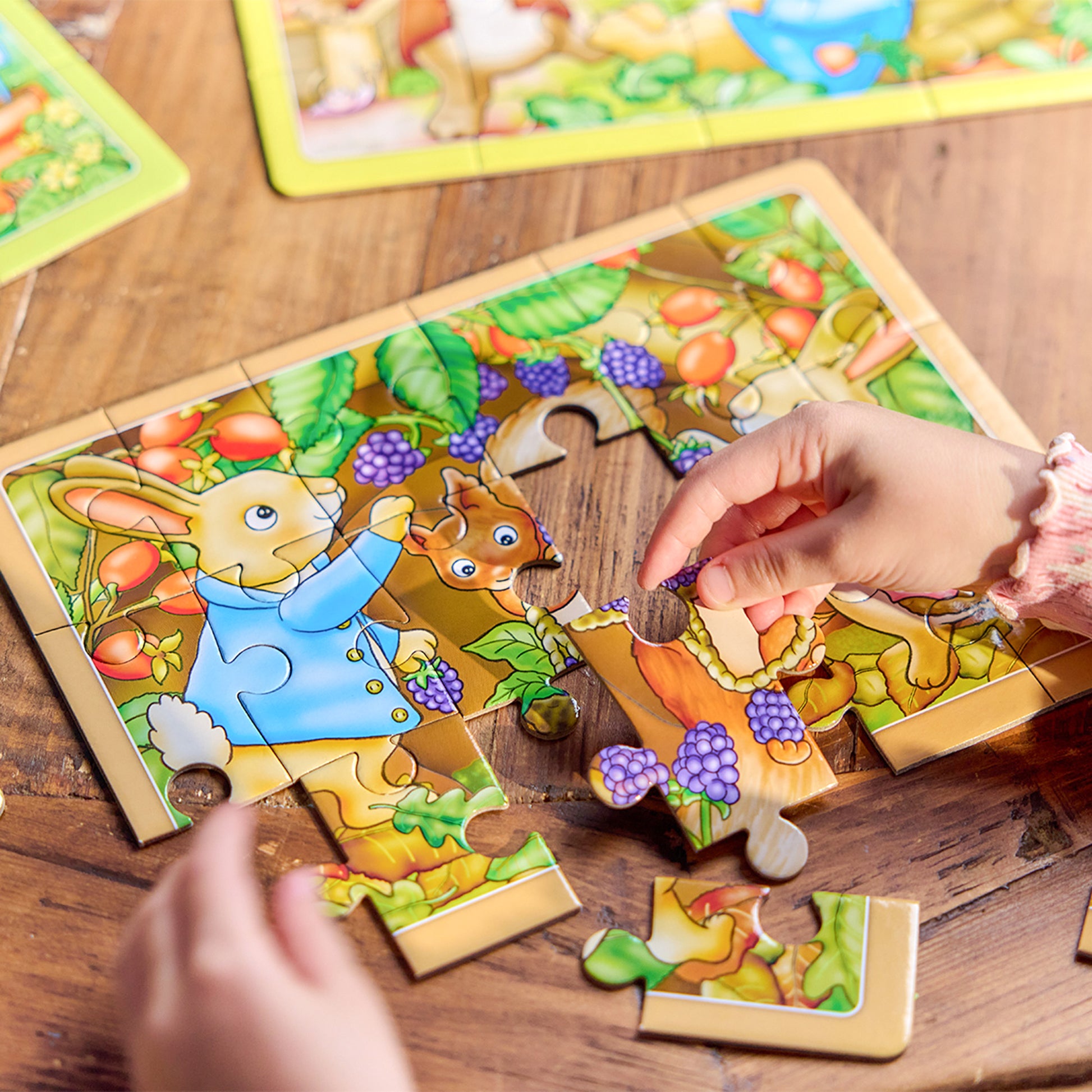 Peter Rabbit 4-in-a-Box Puzzles - Anilas UK