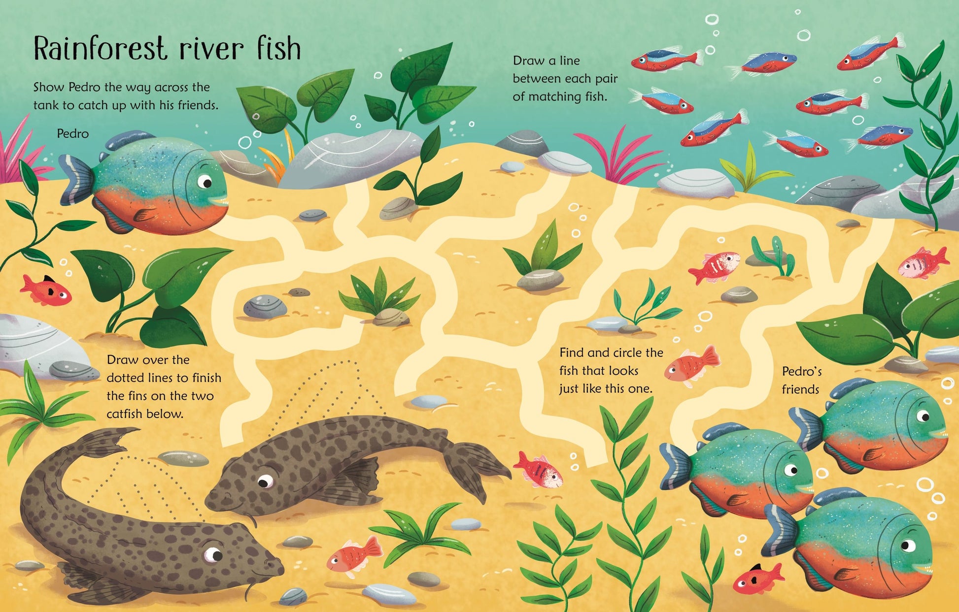 Wipe-Clean Aquarium Activities Book - Anilas UK
