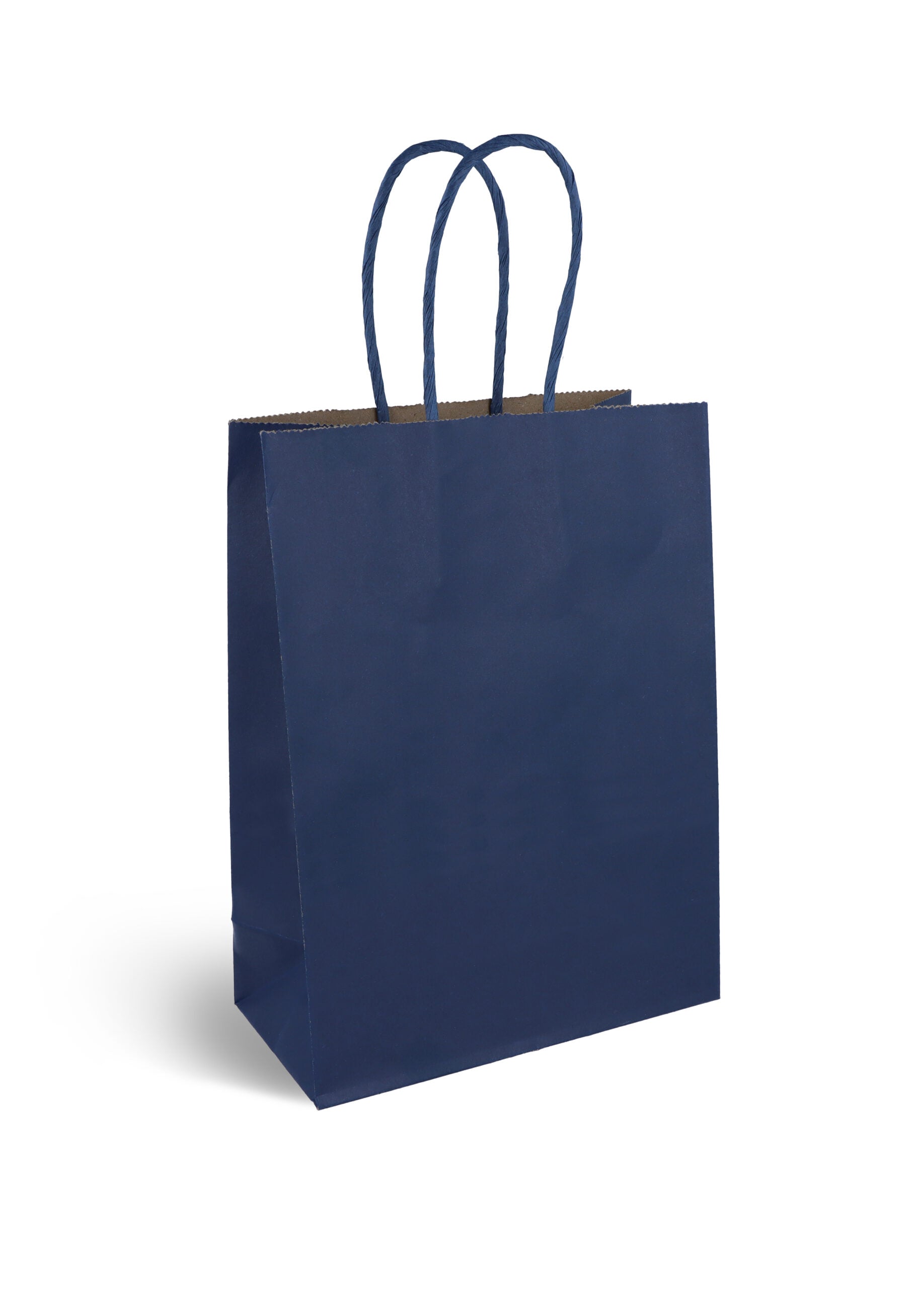 Navy Blue Paper Party Bags - Anilas UK