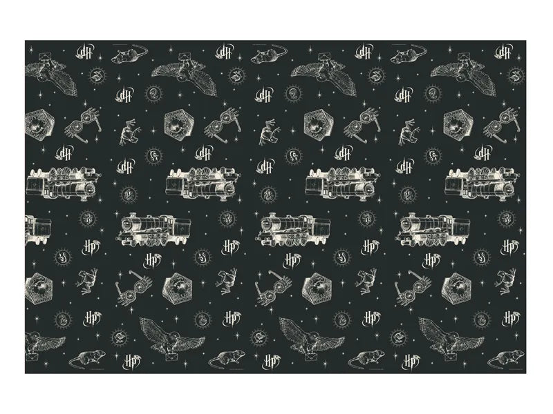 Harry Potter Hogwarts Express Paper Table Cover (180 x 120 cm)