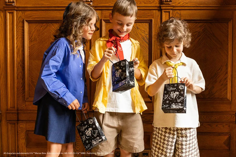 Harry Potter Party Treat or Party Bags (Pack of 6)