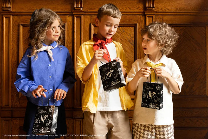 Harry Potter Party Treat or Party Bags (Pack of 6)