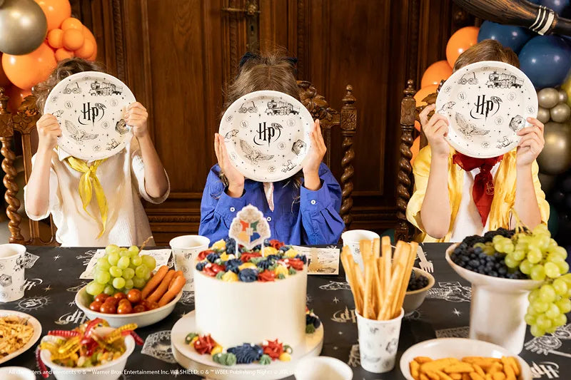 Harry Potter Hogwarts Express  Paper Plates, 23 cm (Pack of 6)