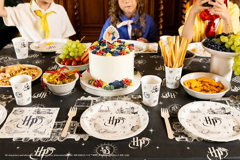 Harry Potter Hogwarts Express  Paper Plates, 23 cm (Pack of 6)