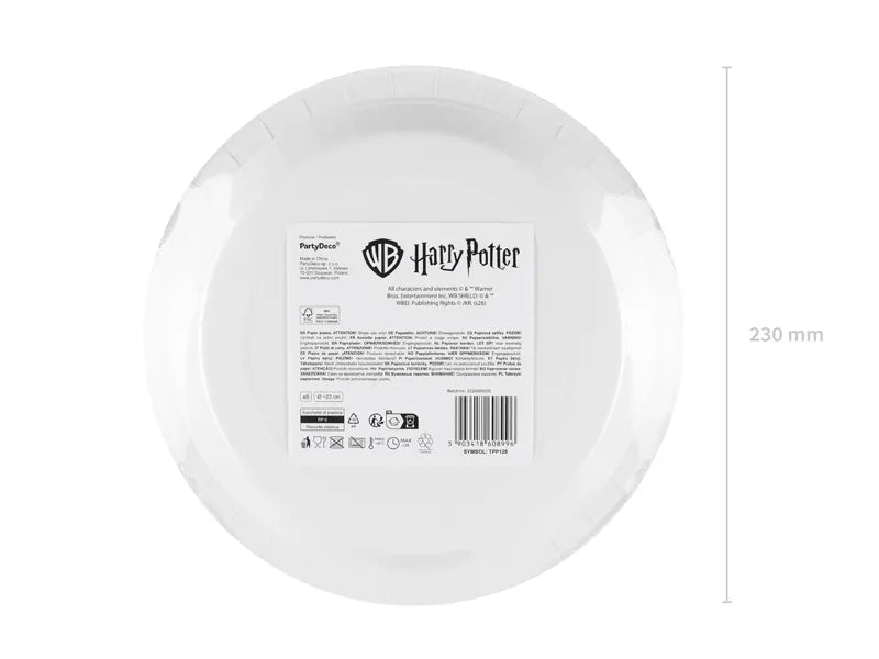 Harry Potter Hogwarts Express  Paper Plates, 23 cm (Pack of 6)
