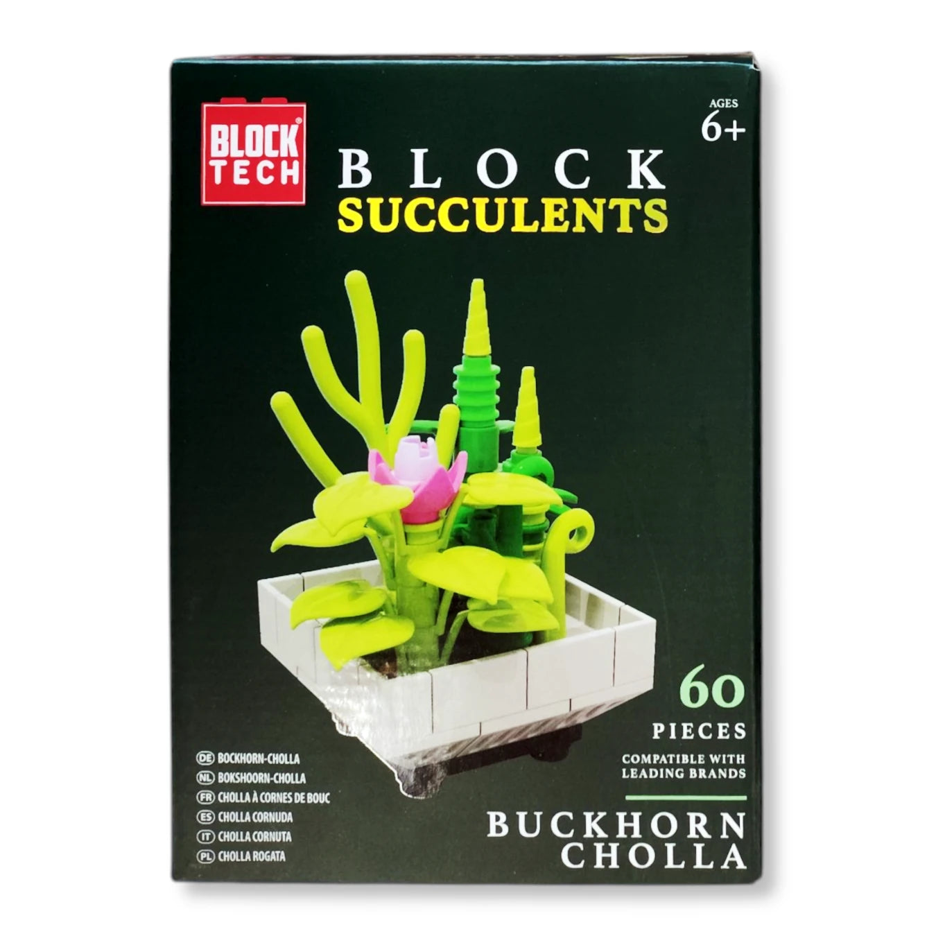 Block Tech Succulents, Buckhorn Cholla Design, Creative Play