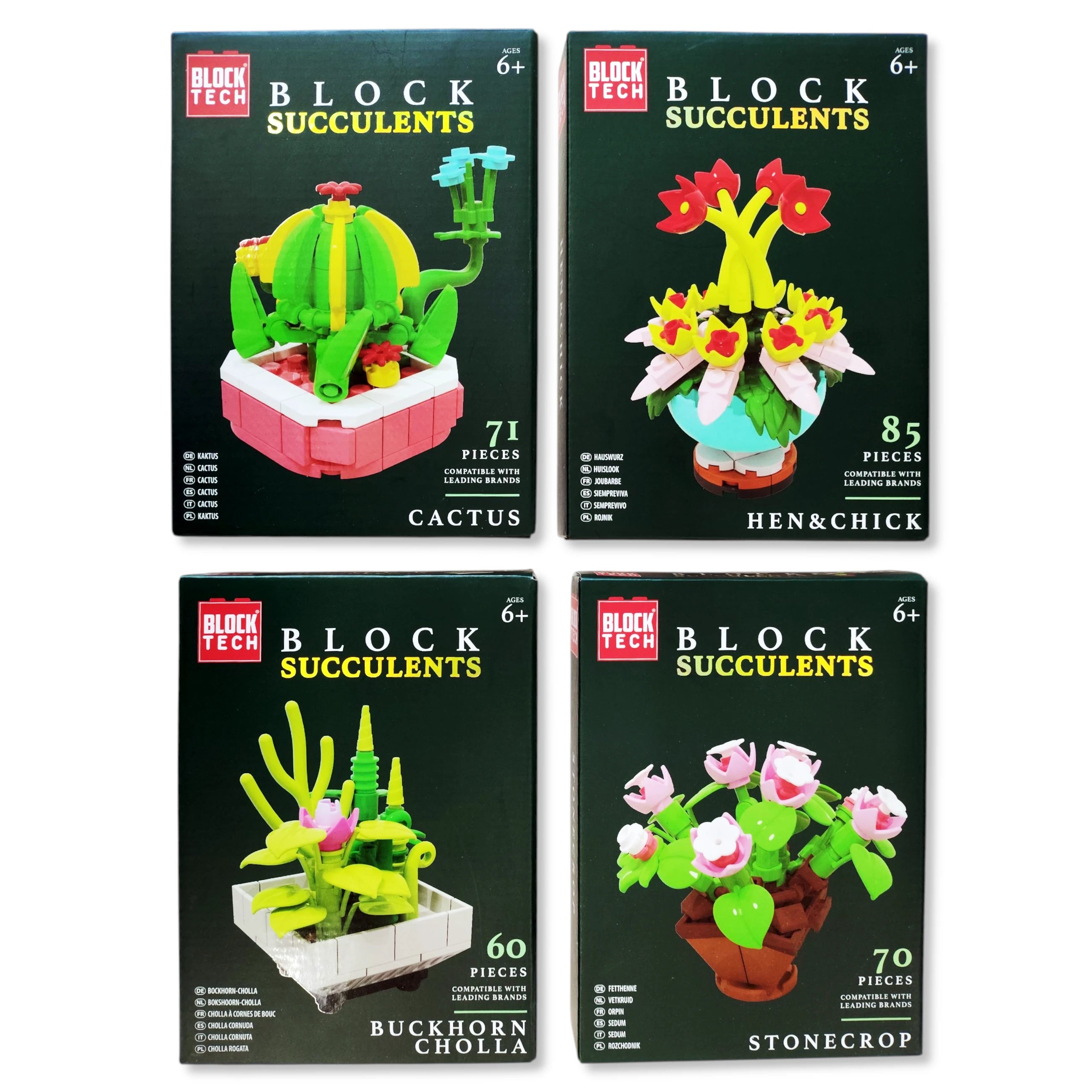 Block Tech Succulents Block Set, 60-85 Pieces, 4 Designs | £2.99 ...