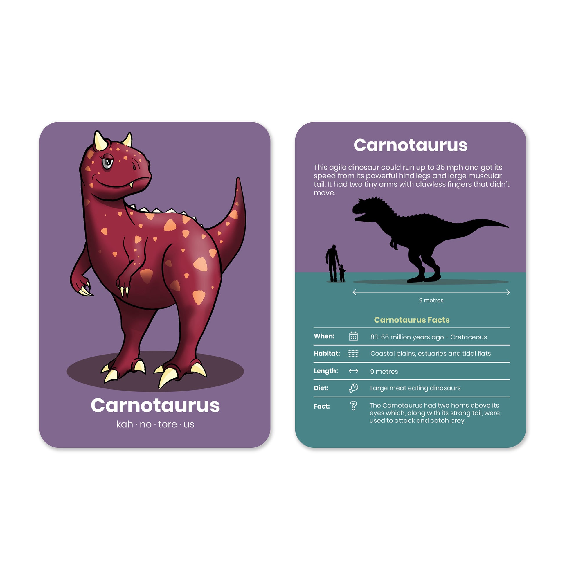 Dinosaur Activity Flashcards - Anilas UK