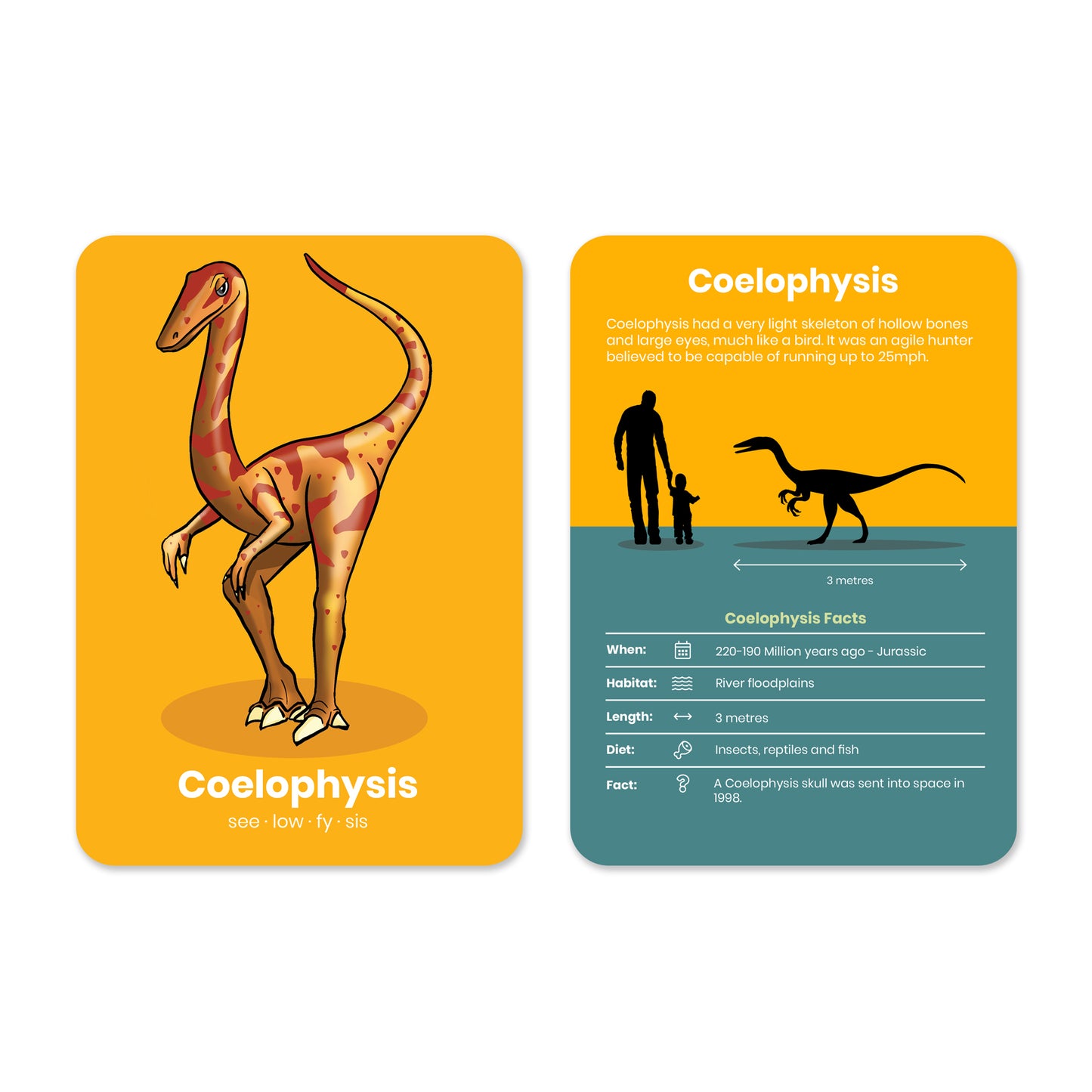 Dinosaur Activity Flashcards - Anilas UK